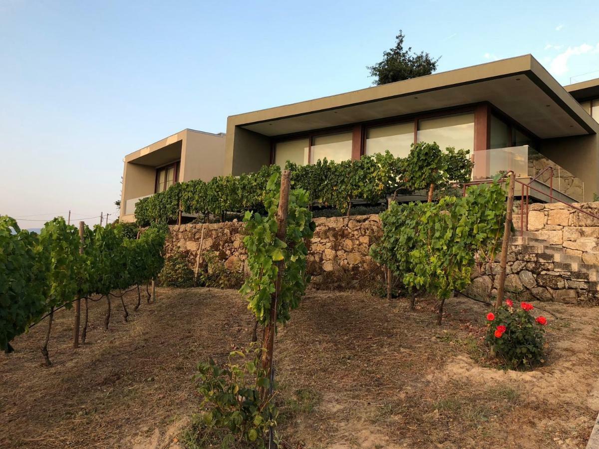 Hotel Vald'Aregos - Douro Resende Exterior foto